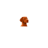 Magyar Vizsla Bonheur