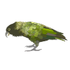 Kea