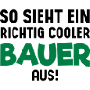 Cooler Bauer