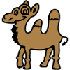 Camel