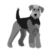 Airedale Terrier vorne