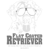 Flat Coated Retriever Coolest people