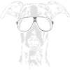 Whippet cool