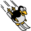 pinguin_ski_022011_e_3c