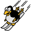 pinguin_ski_022011_a_3c