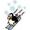 pinguin_ski_022011_d_3c