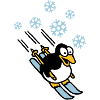 pinguin_ski_022011_h_3c