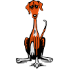 Azawakh