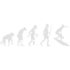 Surfer Evolution