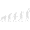 Basketballer Evolution
