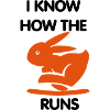 Hase rennt