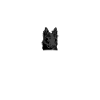 Groenendael