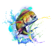 mahi mahi