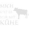 Kühe