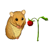 dormouse