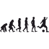 Evolution Fussball