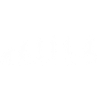 Evolution Fussball