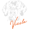 VIZSLA - Magyar Vizsla