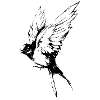 oiseau