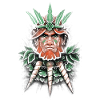Wild Leprechaun