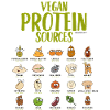 Vegan Protein Sources
