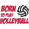 Born to play Volleyball
