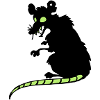 Lousy rat