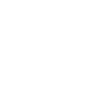 BS Logo