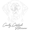 Curly Coated Retriever