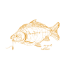 carp and release