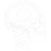 Volleyball in the head