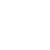 SCHORNSTEINFEGER