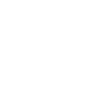BINNENSCHIFFER