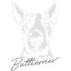 BULL TERRIER