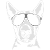BULL TERRIER - BULL TERRIER cool