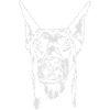 Doberman Pinscher - Doberman Pinscher Wilsigns