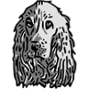 cocker