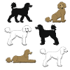 Poodle selection
