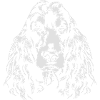 COCKER SPANIEL Wilsigns hundeportræt