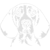 BEAGLE Hundeportrait Wilsigns