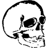 Skull, skull and crossbones