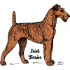 Irish Terrier Hunderasse Motiv