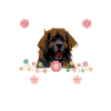 Leonberger