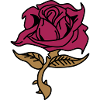 Rose (flower)