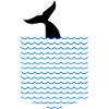 caudal fin