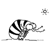 assel_schwarz