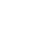 whiteman