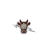 Meine Kühe
