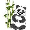 Panda Pao Pao