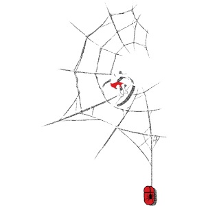 Surf the Web